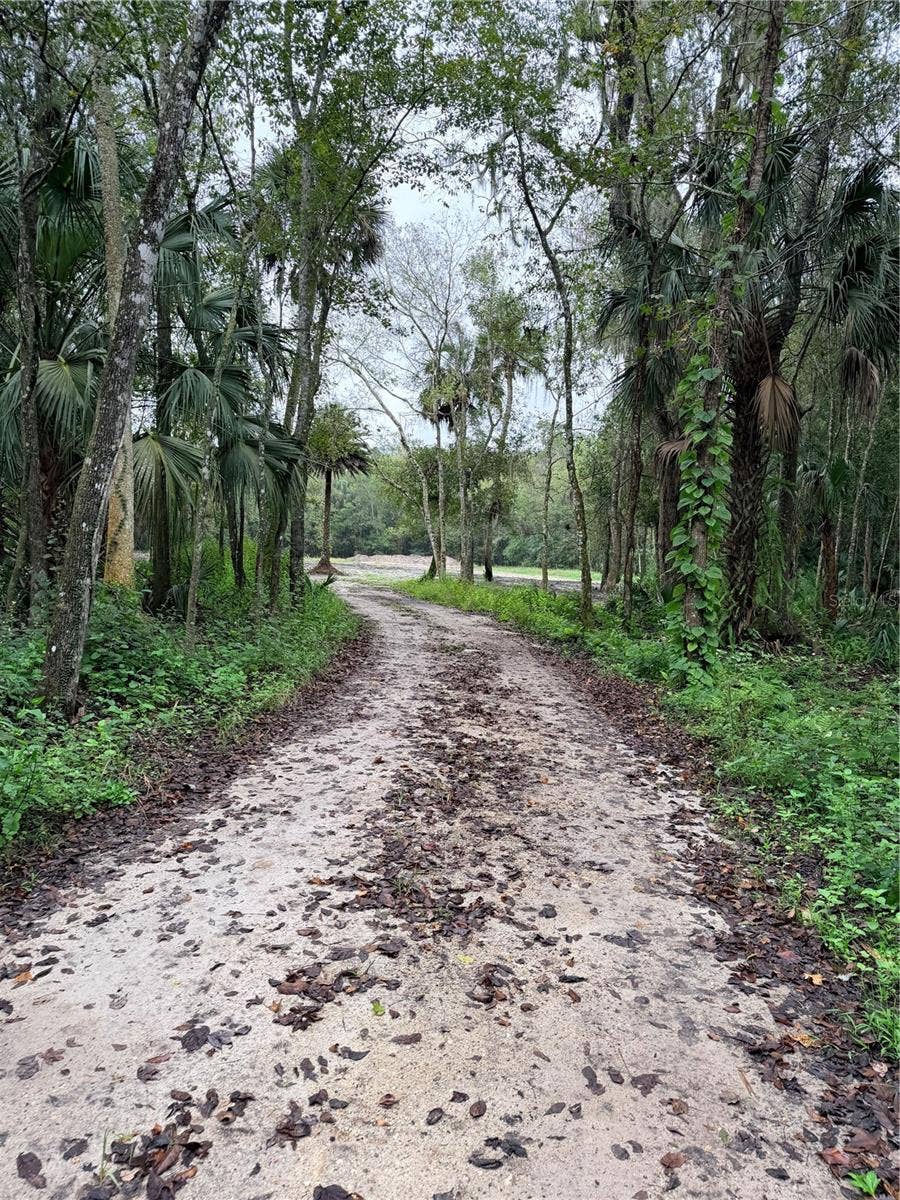 2295 CANAL STREET, Oviedo, FL 32765