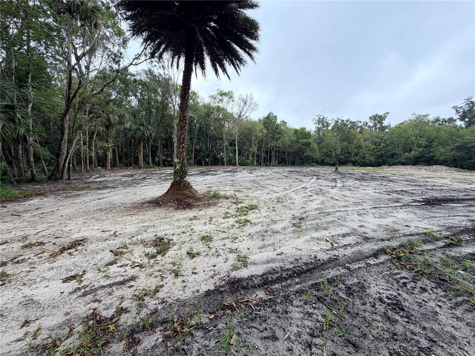 2295 CANAL STREET, Oviedo, FL 32765