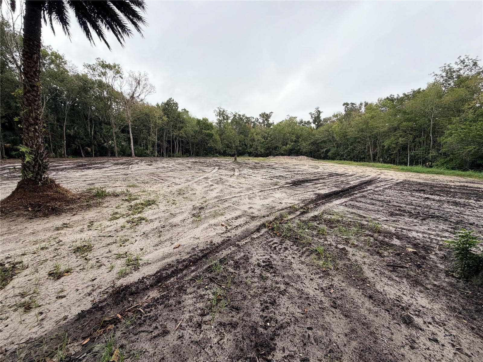 2295 CANAL STREET, Oviedo, FL 32765