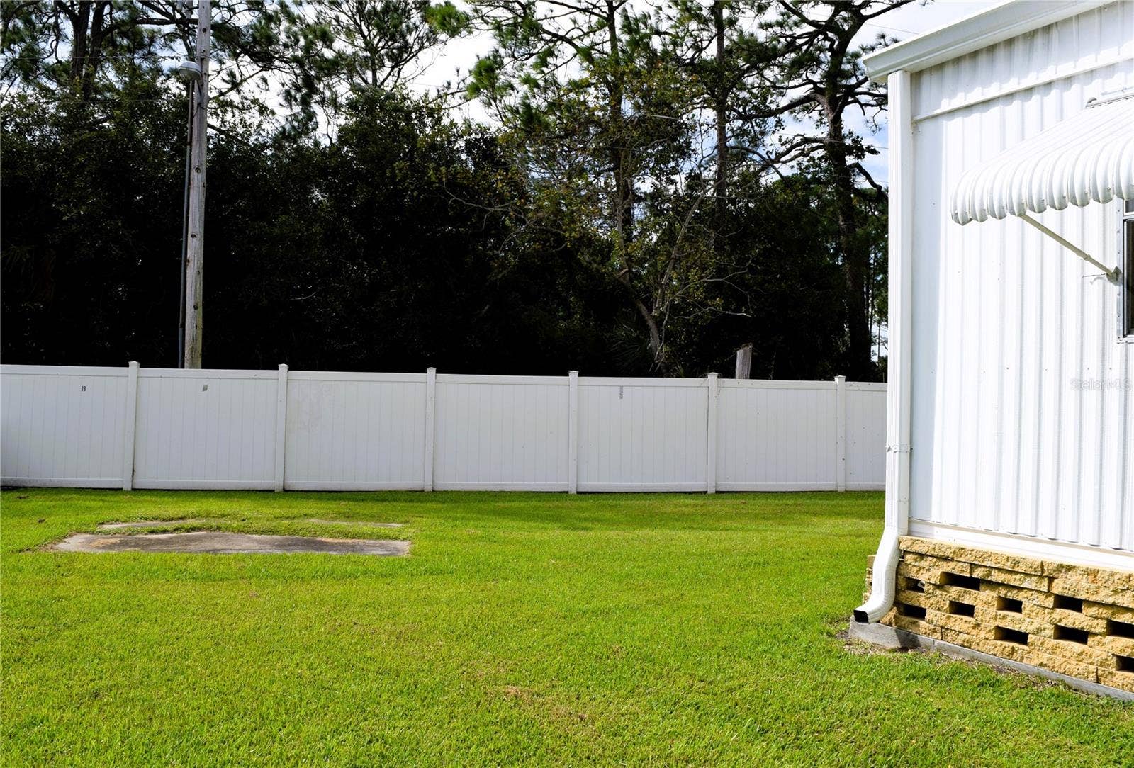 928 BLUE HERON BOULEVARD, Osteen, FL 32764 No rear neighbors