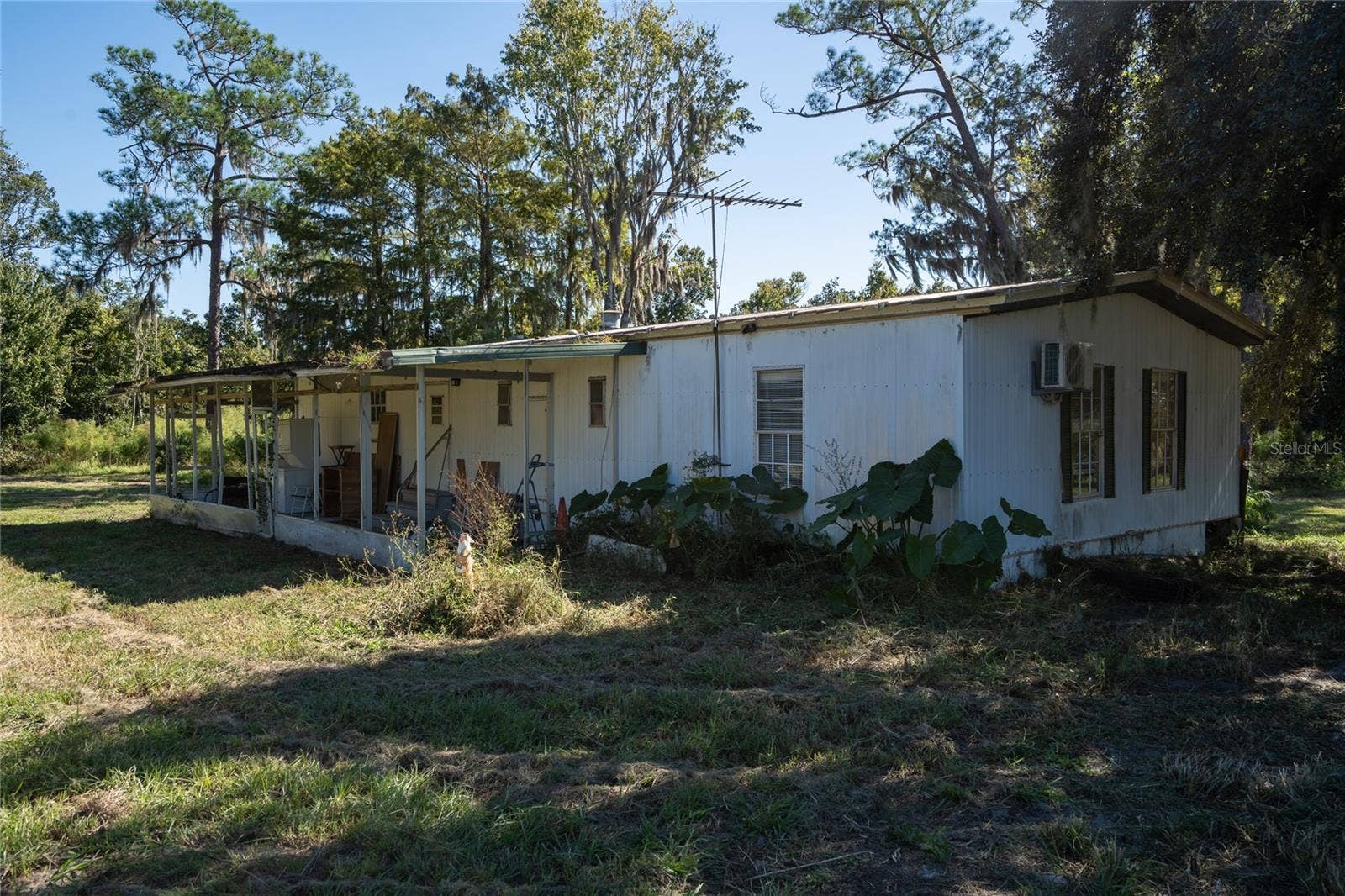 38311 STATE ROAD 19, Umatilla, FL 32784