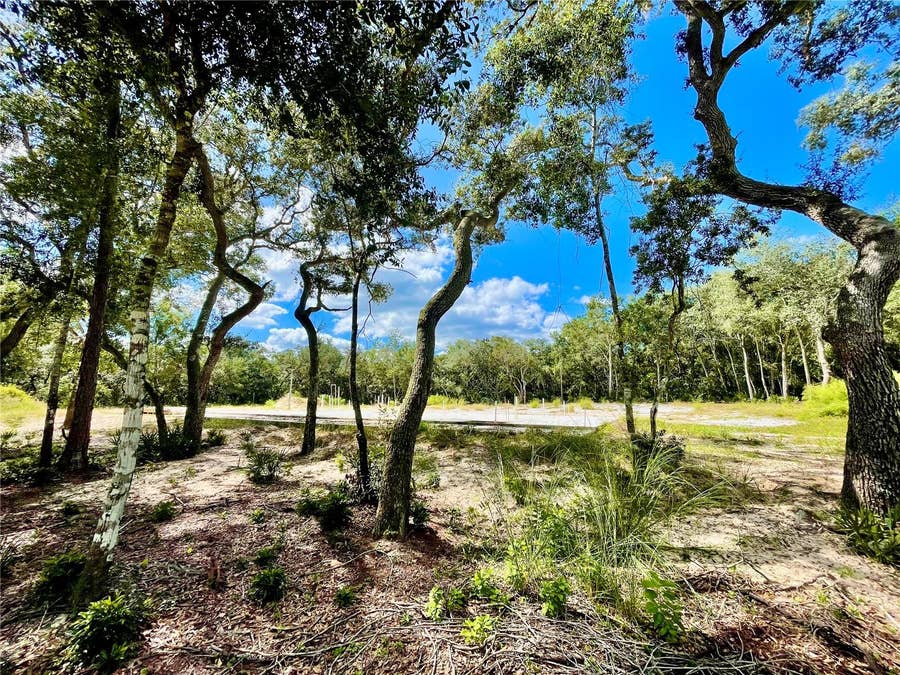 Property photo for EAST AVENUE, Paisley, FL