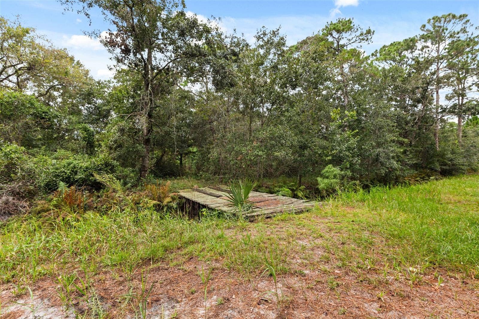 Canal and Bridge(Property has additional acre beyond bridge)
