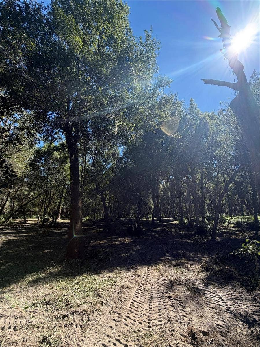 W OHIO AVENUE, Lake Helen, FL 32744 W OHIO AVENUE, Lake Helen, FL 32744