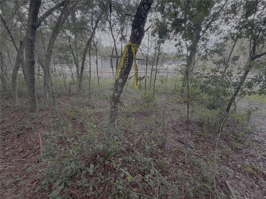 Property photo for EL PASO AVENUE, Orange City, FL
