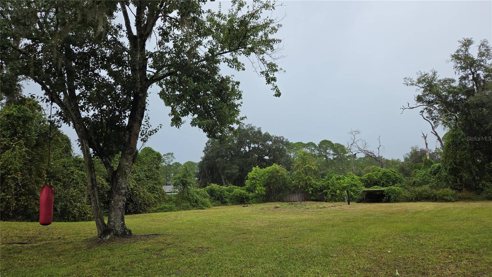 2381 OLD DAYTONA RD, Deland, FL 32724