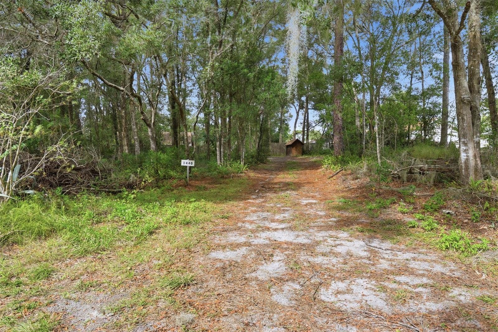 2662 PALM TERRACE, Deland, FL 32720 Side yard, private entry