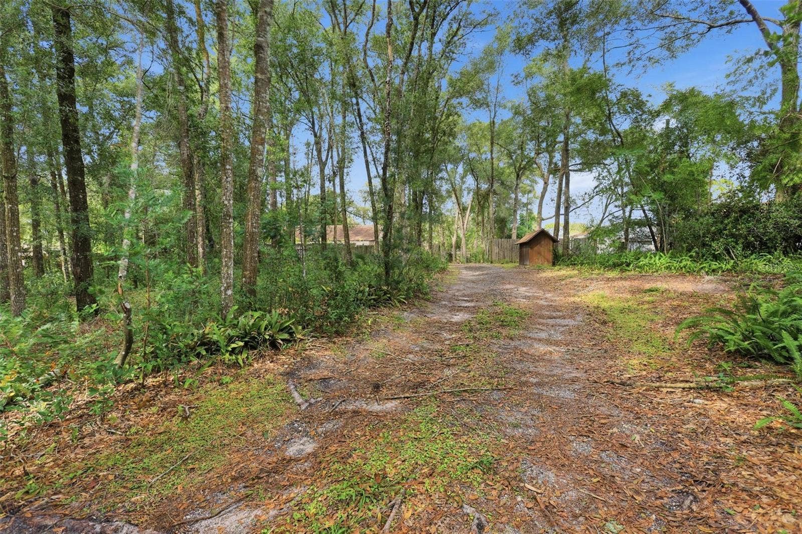 2662 PALM TERRACE, Deland, FL 32720 Side yard, private entry