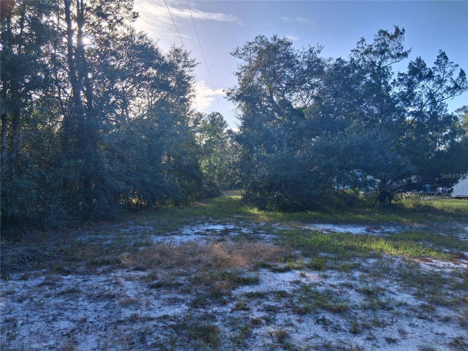 1875 ALAMEDA DRIVE, De Leon Springs, FL 32130 1875 ALAMEDA DRIVE, De Leon Springs, FL 32130