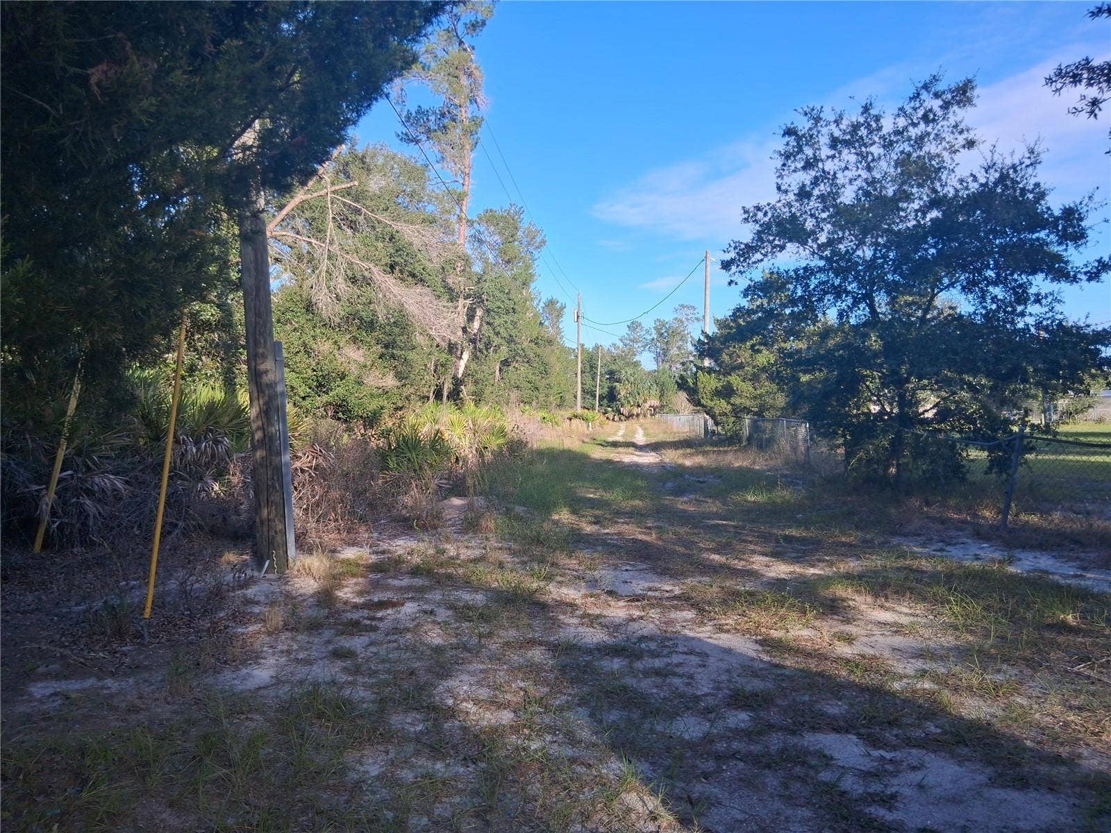 1875 ALAMEDA DRIVE, De Leon Springs, FL 32130 1875 ALAMEDA DRIVE, De Leon Springs, FL 32130