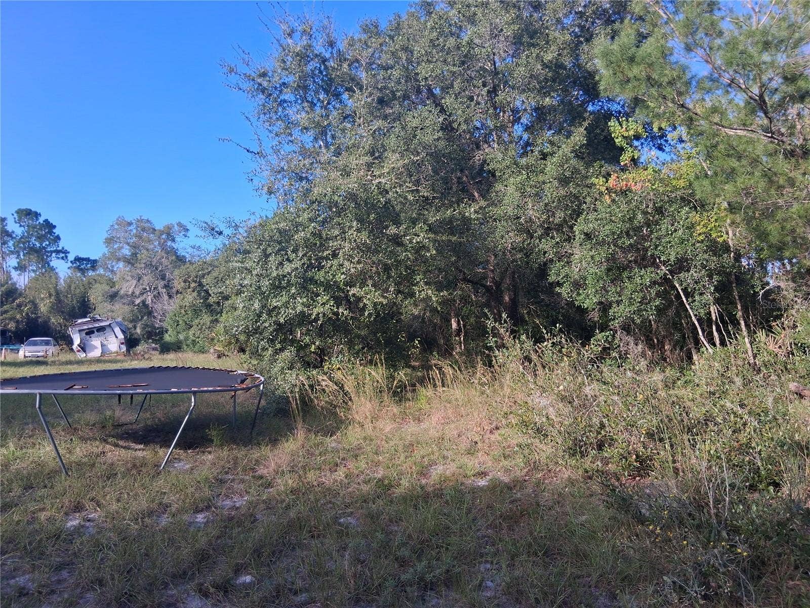 1875 ALAMEDA DRIVE, De Leon Springs, FL 32130 1875 ALAMEDA DRIVE, De Leon Springs, FL 32130