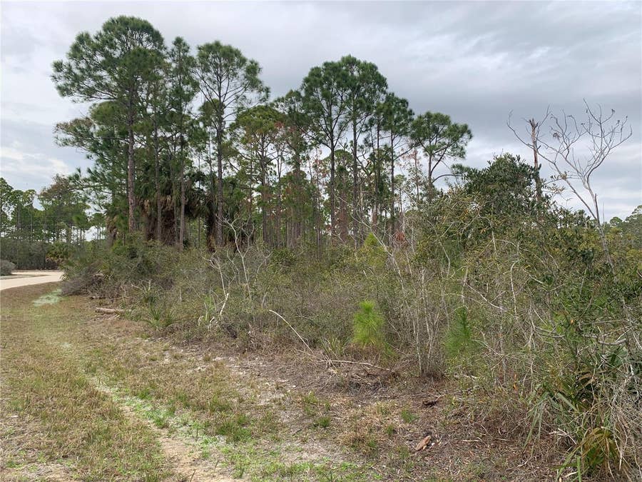 Property photo for Cedar Key, FL