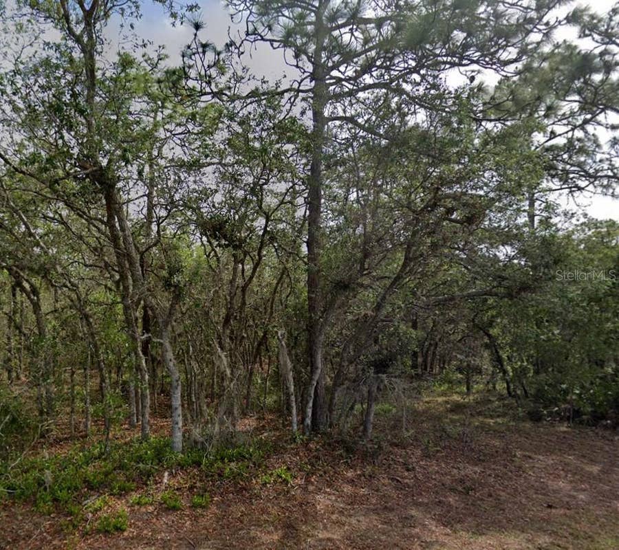 Property photo for 10 MILBARK DRIVE, Homosassa, FL