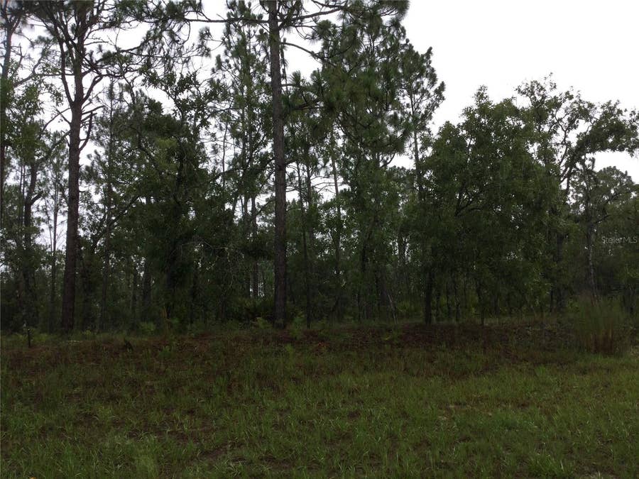Property photo for 2191 W CITRUS SPRINGS BOULEVARD, Dunnellon, FL