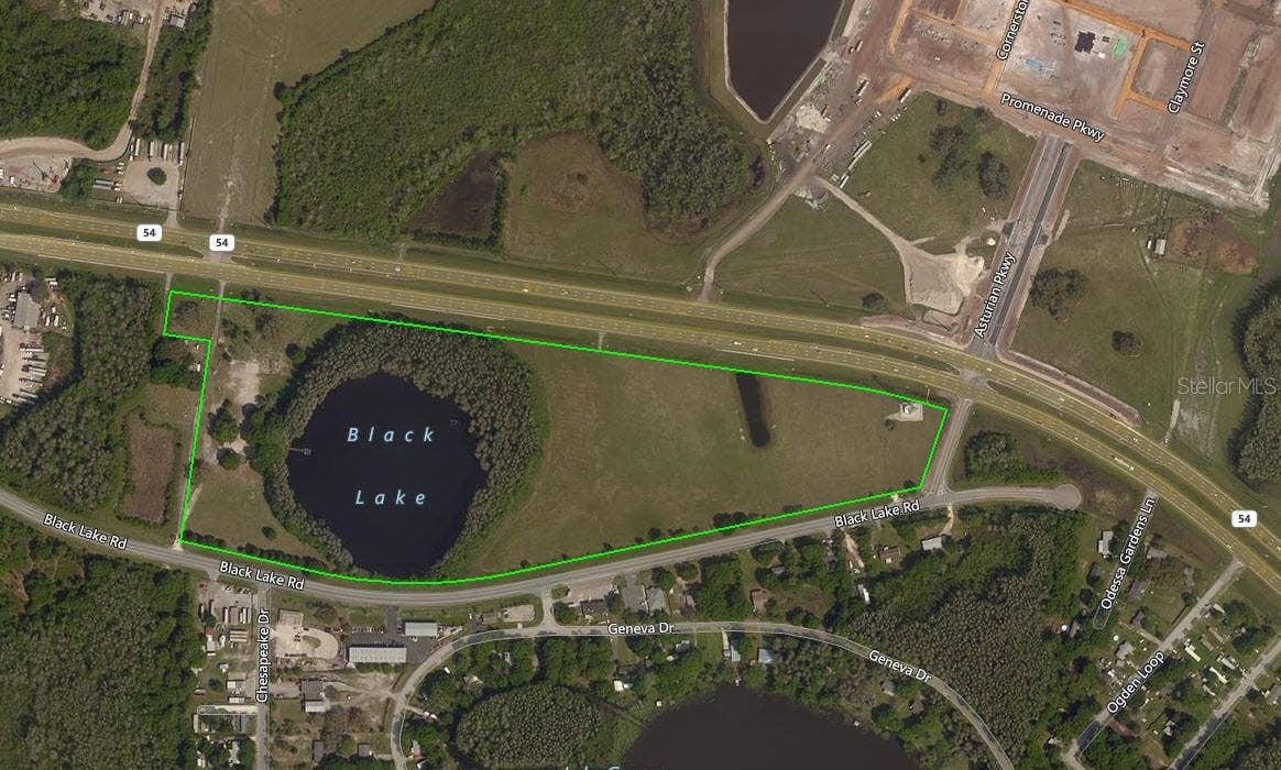 14325 BLACK LAKE ROAD, Odessa, FL 33556 14325 BLACK LAKE ROAD, Odessa, FL 33556