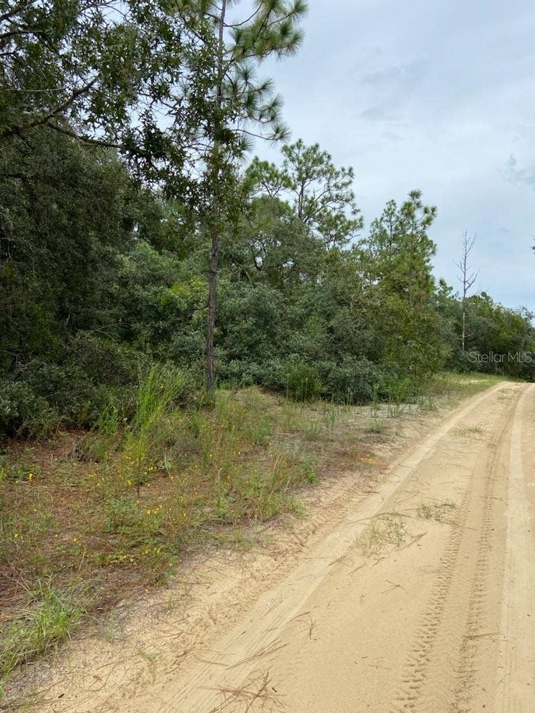 Property photo for 318 S CRESTVIEW AVENUE, Inverness, FL