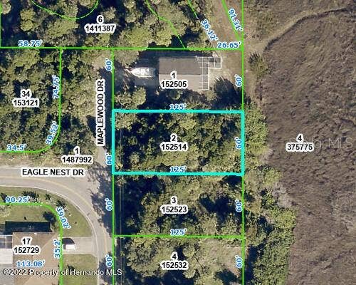 Property photo for 5082 MAPLEWOOD DRIVE, Hernando Beach, FL