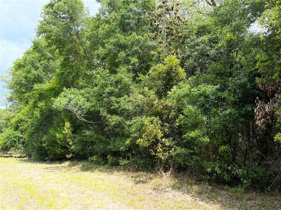 Property photo for 0 NW 70TH CIRCLE, Chiefland, FL