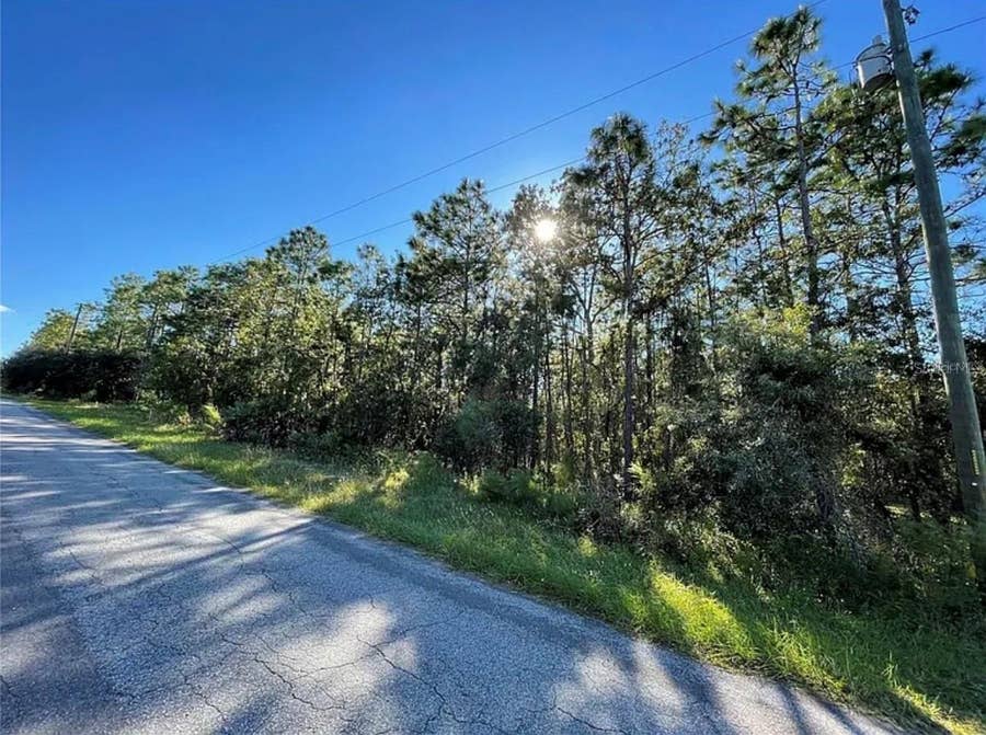 Property photo for 16 MAYTEN COURT N, Homosassa, FL