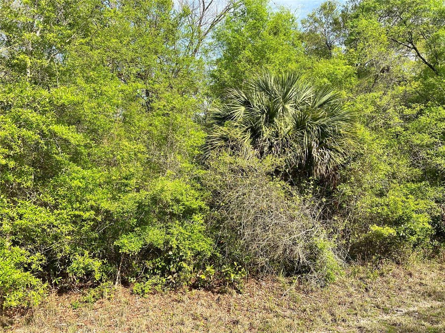 Property photo for NW 74TH COURT, #112, Chiefland, FL