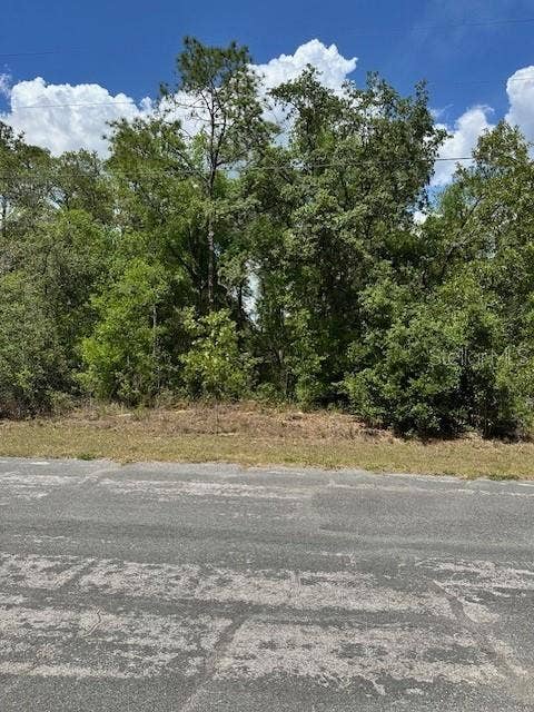 Property photo for 2235 W SUMMER PLACE, Dunnellon, FL
