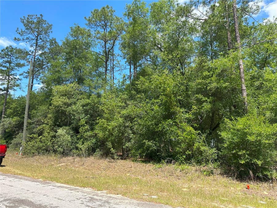 Property photo for 1571 W ALEXANDER DRIVE, Citrus Springs, FL