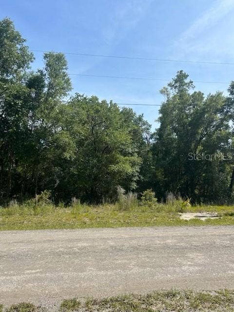 Property photo for 8284 W CATRINA LANE, Crystal River, FL