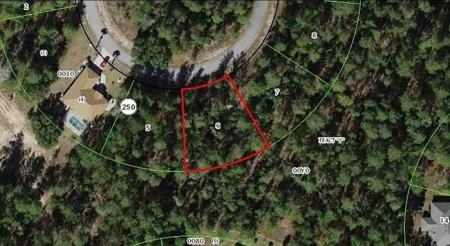 Property photo for 13 SCABIOSA COURT, Homosassa, FL