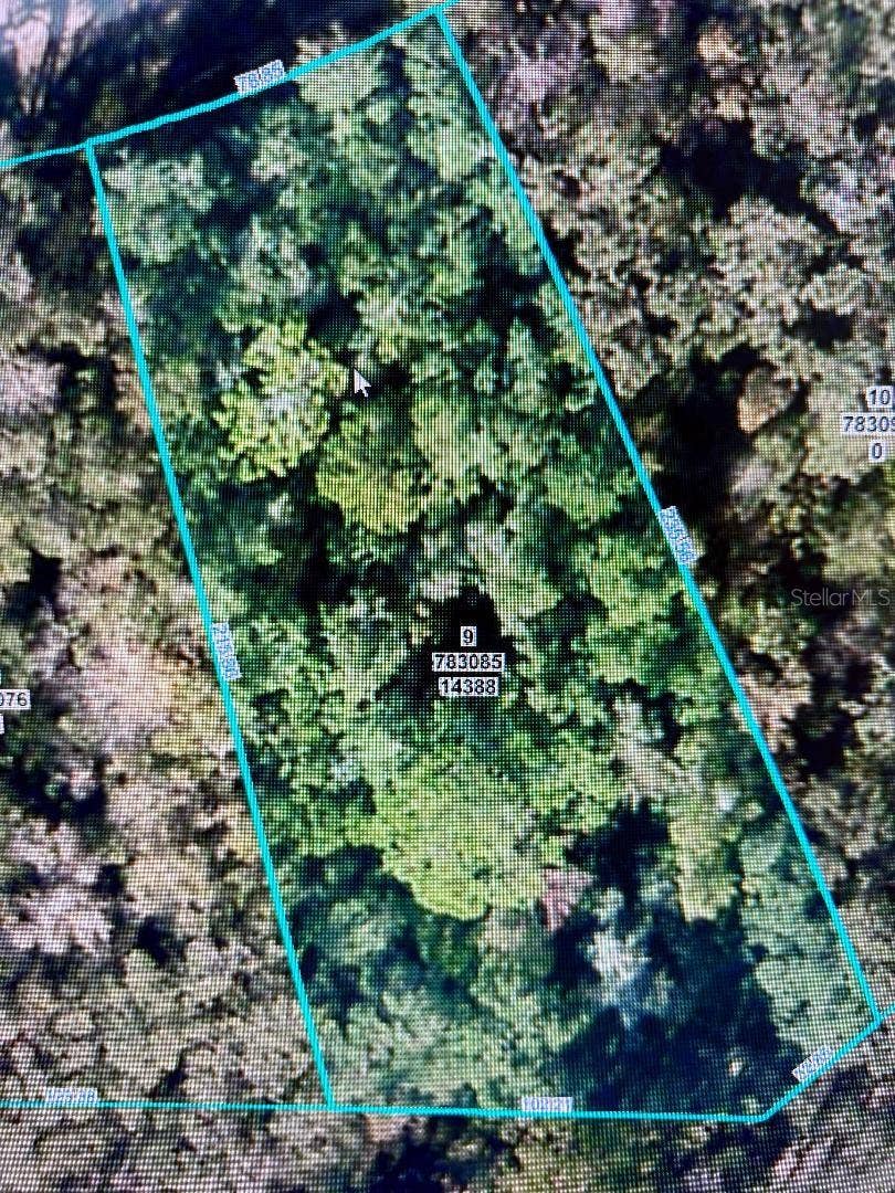 Property photo for 14388 CHIMNEY SWIFT ROAD, Weeki Wachee, FL