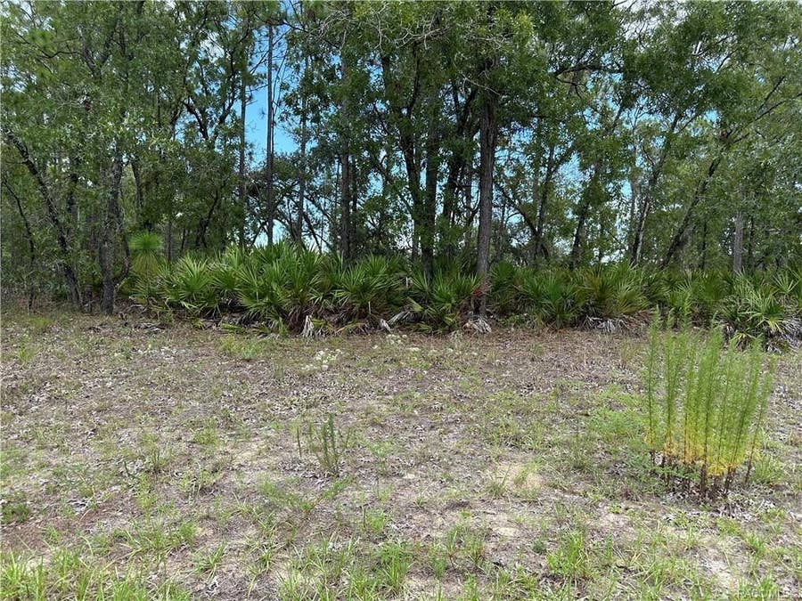 Property photo for 1195 W HAMPSHIRE BOULEVARD, Citrus Springs, FL