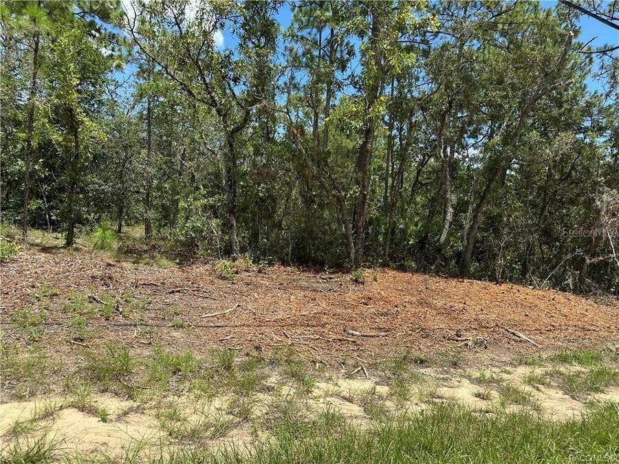 Property photo for 955 W HAMPSHIRE BOULEVARD, Citrus Springs, FL