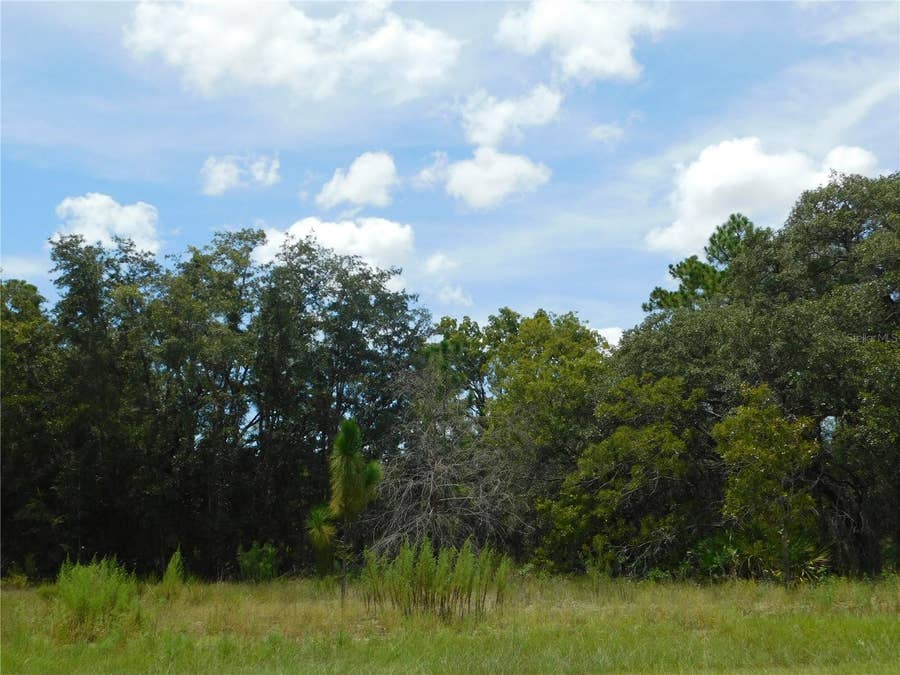 Property photo for 6681 N BEDSTROW BOULEVARD, Dunnellon, FL