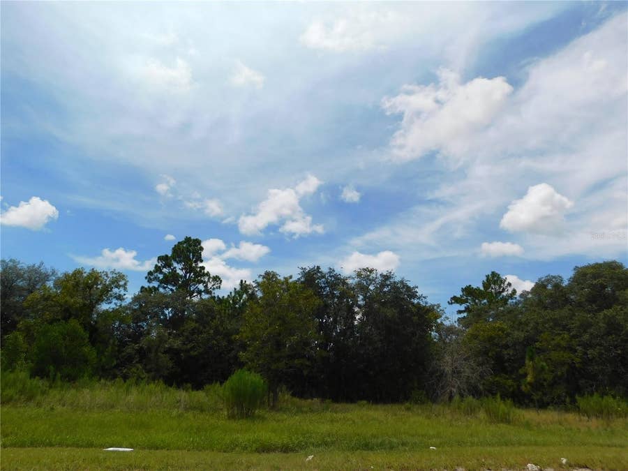 Property photo for 6683 N BEDSTROW BOULEVARD, Dunnellon, FL