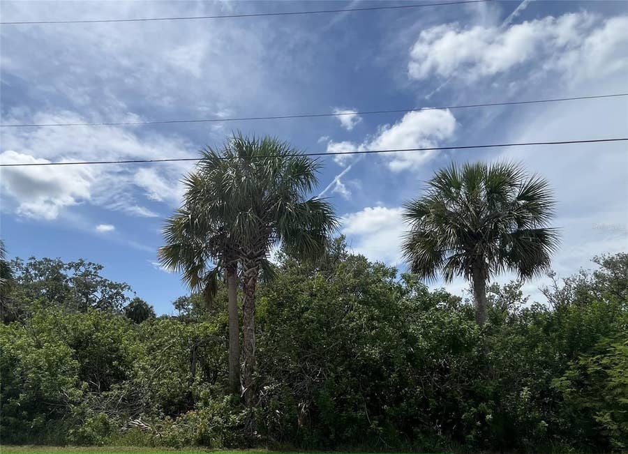 Property photo for BETTY STREET, Port Richey, FL