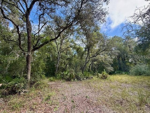 Property photo for 0 GRESHAM ROAD, Webster, FL