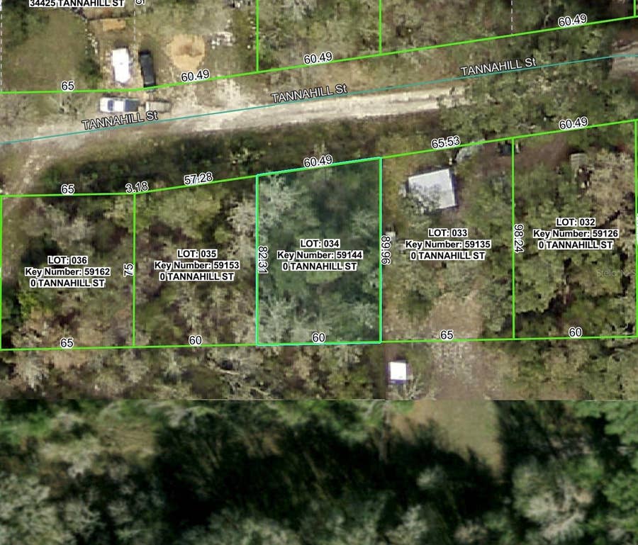 Property photo for TANNAHILL STREET, Dade City, FL