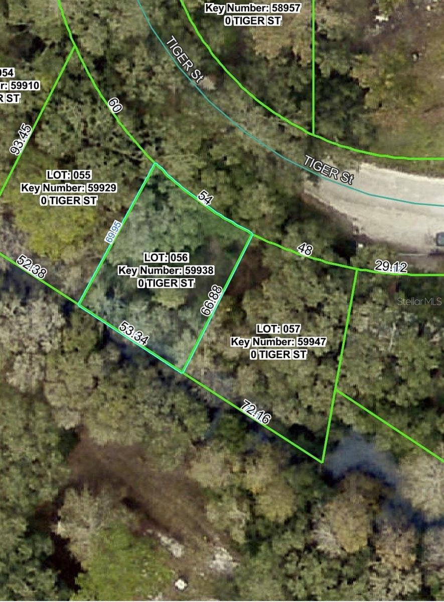 Property photo for 3217 TIGER STREET, Dade City, FL