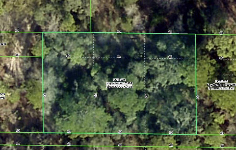 Property photo for ROCK DUCK AVENUE, Brooksville, FL