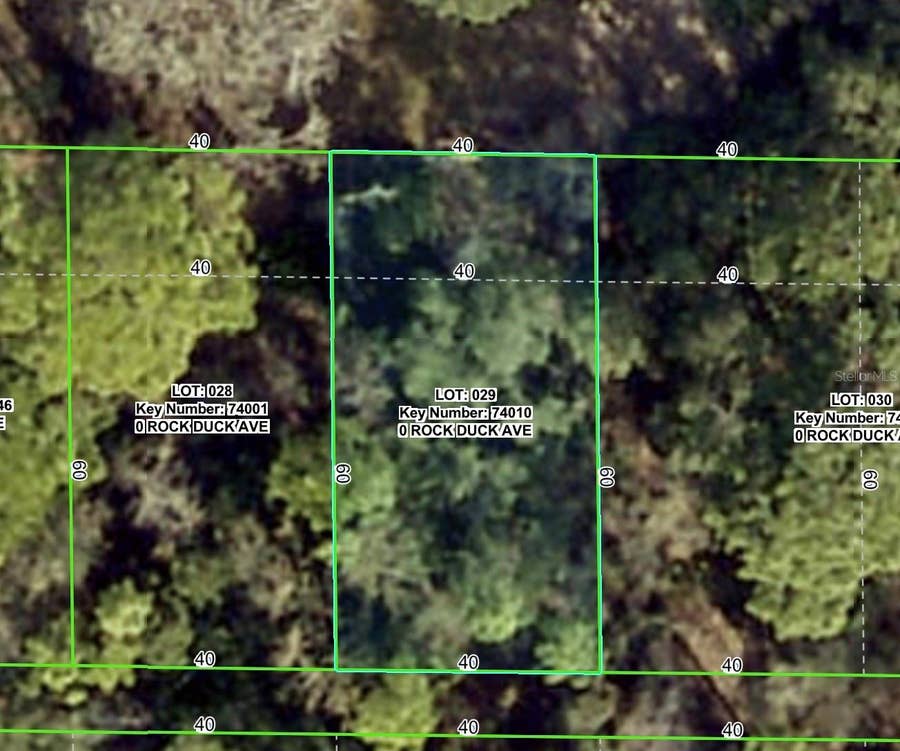Property photo for ROCK DUCK AVENUE, Brooksville, FL