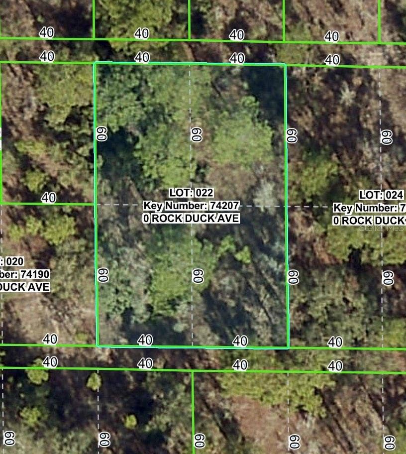 Property photo for ROCK DUCK AVENUE, Brooksville, FL