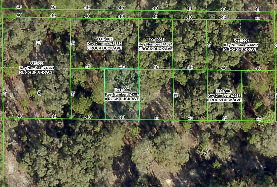 Property photo for ROCK DUCK AVENUE, Brooksville, FL