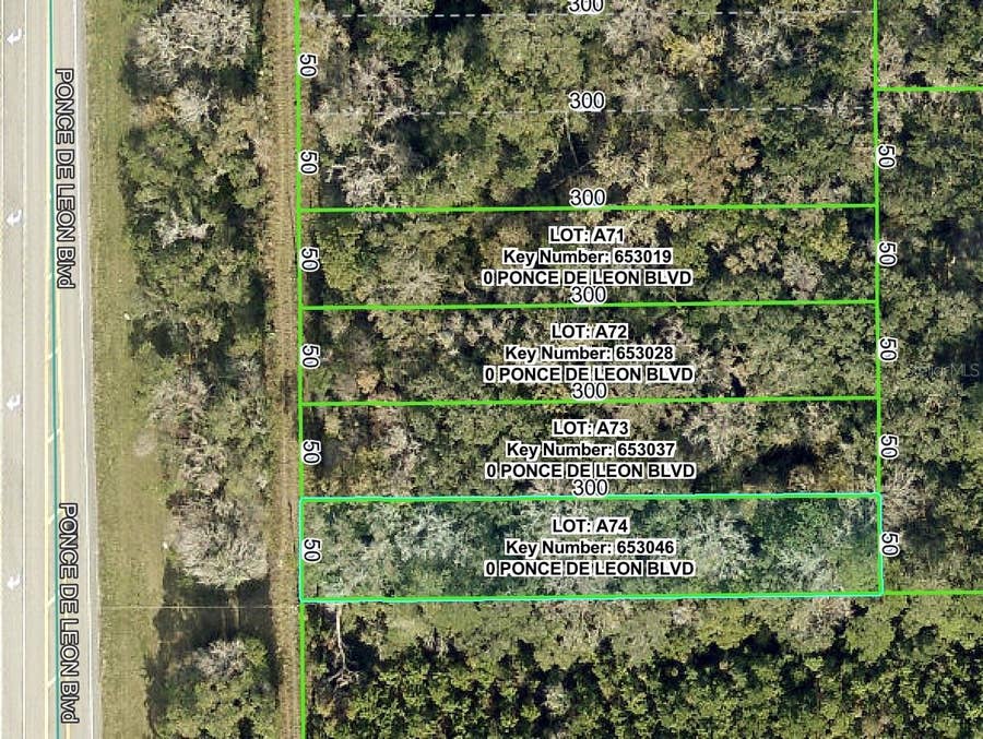 Property photo for PONCE DE LEON BOULEVARD, Brooksville, FL