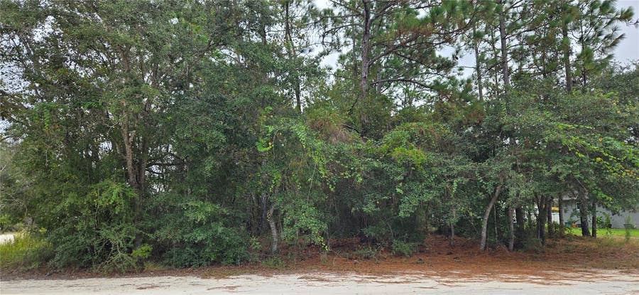 Property photo for 13476 CANADA GOOSE ROAD, Brooksville, FL
