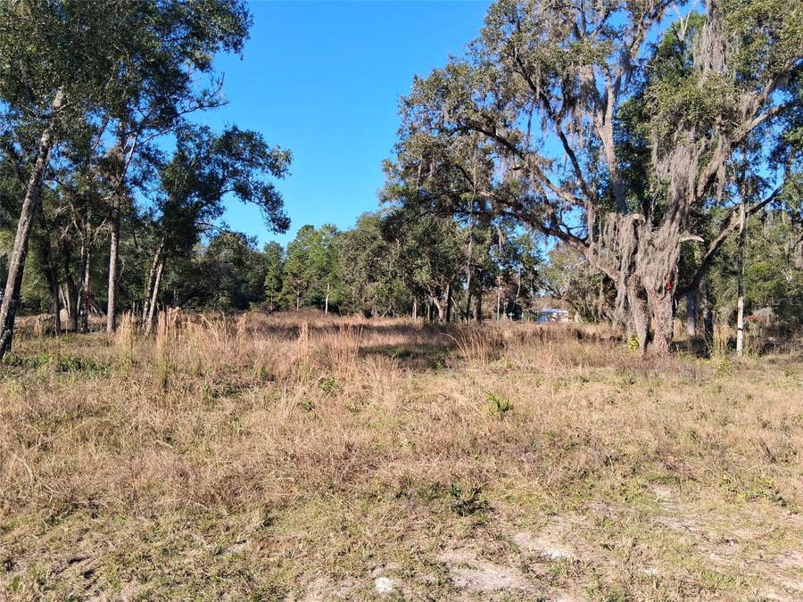 Property photo for 0 LONG CIRCLE, Webster, FL