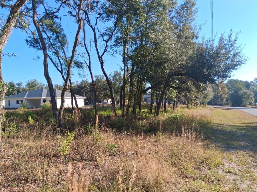 Property photo for 0 AUGUST AVENUE, Webster, FL