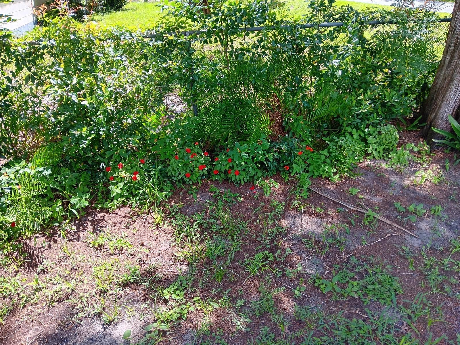 1440 SE 23RD AVENUE, Gainesville, FL 32641 1440 SE 23RD AVENUE, Gainesville, FL 32641