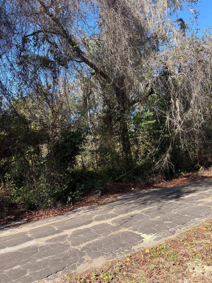 Property photo for 0 PANA STREET, New Port Richey, FL