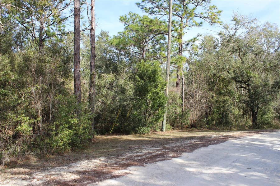 Property photo for 34273 BELT DRIVE, Dade City, FL