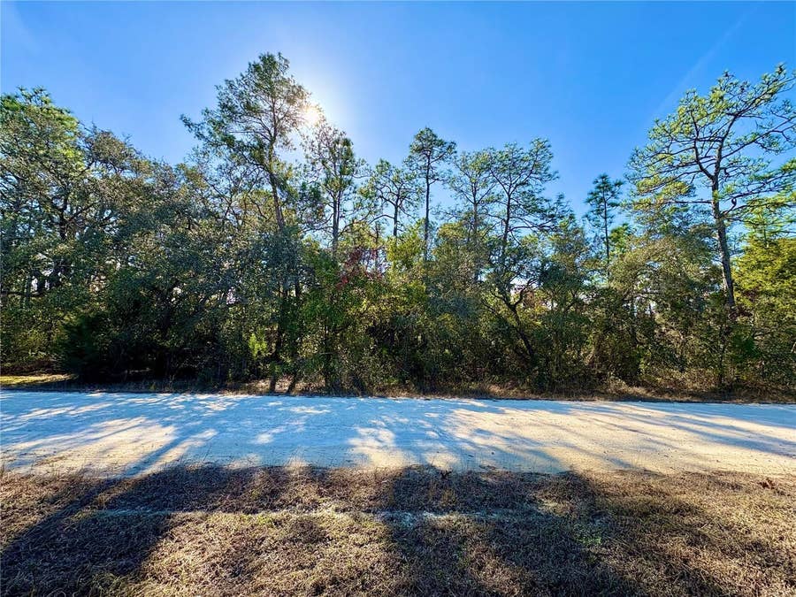 Property photo for 9164 BIRMINGHAM AVENUE, Weeki Wachee, FL