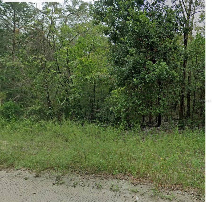 Property photo for 0 NE 160TH AVENUE, Williston, FL